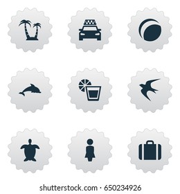 Vector Illustration Set Of Simple Seaside Icons. Elements Mammal Fish, Palm, Beach Games And Other Synonyms Turtle, Taxi And Baggage.