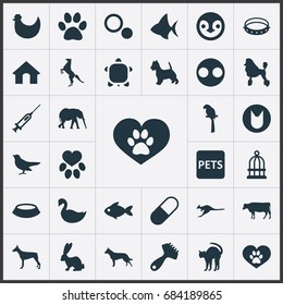 Vector Illustration Set Of Simple Wild Icons. Elements Medicine, Puppy, Piglet And Other Synonyms Doghouse, Piglet And Penguin.