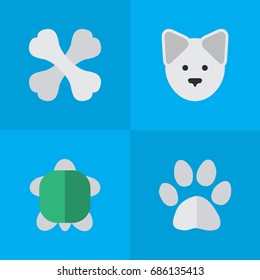 Vector Illustration Set Of Simple Wild Icons. Elements Skeleton, Wolf, Tortoise And Other Synonyms Food, Turtle And Foot.