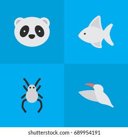 Vector Illustration Set Of Simple Wild Icons. Elements Crane, Tarantula, Bear And Other Synonyms Animal, Bear And Widow.