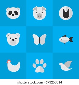 Vector Illustration Set Of Simple Wild Icons. Elements Panda , Bear, Moth Synonyms Butterfly, Cat And Cock.