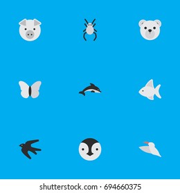 Vector Illustration Set Of Simple Wild Icons. Elements Crane, Tarantula, Fish And Other Synonyms Crane, Swallow And Animal.