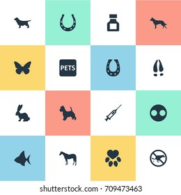 Vector Illustration Set Of Simple Wild Icons. Elements Horseshoe, Injection, Footprint And Other Synonyms Moth, Butterfly And Sign.