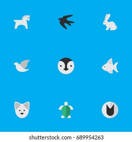 Vector Illustration Set Of Simple Zoo Icons. Elements Hare, Wolf, Pigeon And Other Synonyms Pigeon, Bird And Seafood.