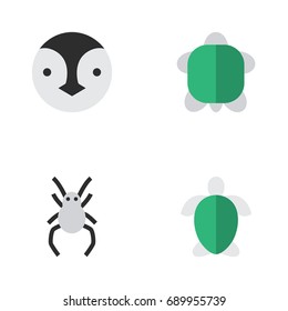 Vector Illustration Set Of Simple Zoo Icons. Elements Tortoise, Turtle, Flightless Bird And Other Synonyms Bird, Turtle And Spider.