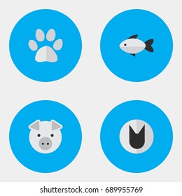 Vector Illustration Set Of Simple Zoo Icons. Elements Foot, Piggy, Tomcat And Other Synonyms Perch, Pig And Fish.