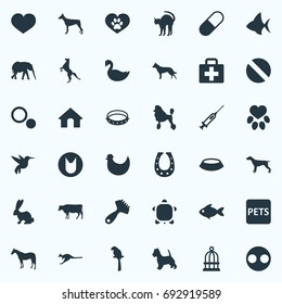 Vector Illustration Set Of Simple Zoo Icons. Elements Hair Brush, First Aid, Doghouse And Other Synonyms Curly, Fish And Injection.