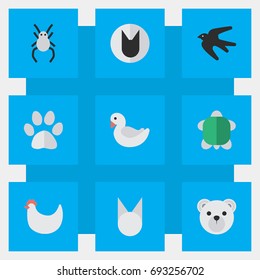 Vector Illustration Set Of Simple Zoo Icons. Elements Sparrow, Swan, Tomcat And Other Synonyms Tomcat, Cute And Tortoise.