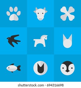 Vector Illustration Set Of Simple Zoo Icons. Elements Kine, Tomcat, Skeleton And Other Synonyms Cat, Skeleton And Flightless.
