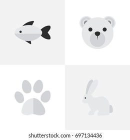 Vector Illustration Set Of Simple Zoo Icons. Elements Foot , Hare, Panda Synonyms Seafood, Bear And Perch.