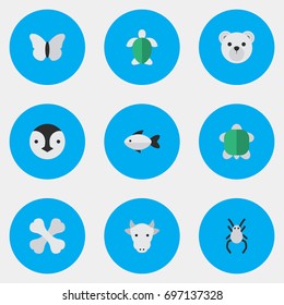 Vector Illustration Set Of Simple Zoo Icons. Elements Perch, Moth, Flightless Bird And Other Synonyms Penguin, Bird And Bones.