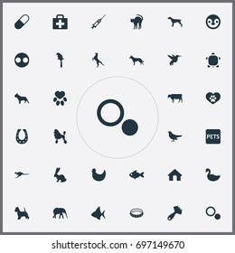 Vector Illustration Set Of Simple Zoo Icons. Elements Safari, Circle, Ornitology And Other Synonyms Ornithology, Belt And Hare.