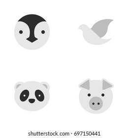 Vector Illustration Set Of Simple Zoo Icons. Elements Pigeon, Piggy, Flightless Bird And Other Synonyms Dove, Piggy And Animal.