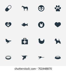 Vector Illustration Set Of Simple Zoo Icons. Elements Ornitology, Hummingbird, Belt And Other Synonyms Kit, Hummingbird And Cat.