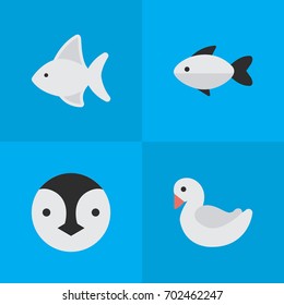 Vector Illustration Set Of Simple Zoo Icons. Elements Perch, Swan, Flightless Bird And Other Synonyms Swan, Penguin And Seafood.