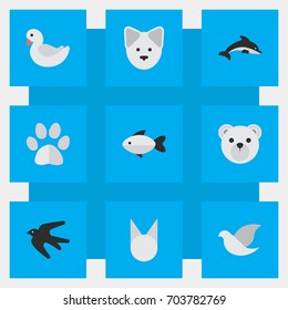 Vector Illustration Set Of Simple Zoo Icons. Elements Perch, Wolf, Fish And Other Synonyms Foot, Fish And Seafood.