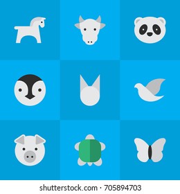 Vector Illustration Set Of Simple Zoo Icons. Elements Piggy, Bear, Kine And Other Synonyms Piggy, Animal And Butterfly.