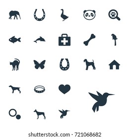 Vector Illustration Set Of Simple Zoo Icons. Elements Waterbird, Bear, Belt And Other Synonyms Box, Bear And Security.