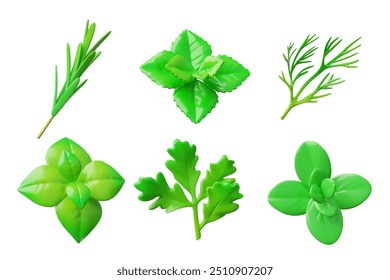 Ilustração vetorial de seis ícones de ervas verdes em um estilo 3D. O conjunto inclui várias folhas de ervas, como alecrim, hortelã, manjericão, endro, salsa e orégano.