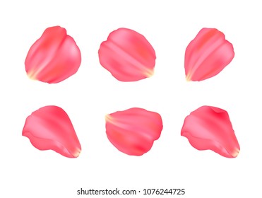  Ilustración vectorial. Conjunto de seis pétalos de rosa. Pétalos de rosa de elegancia