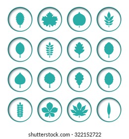 Vector illustration: set of sixteen circle slot windows with turquoise silhouettes of different tree leaves icons on white circle backdrops with celadon stroke isolated on white background