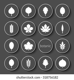 Vector illustration: set of sixteen volume black badges with white stroke with white contours of different tree leaves icons isolated on black background