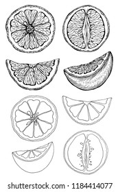 Vector illustration set of sketch hand drawn oranges and slice orange. Fresh fruits, citrus, Italy, Spain, mandarins. Organic food label. Vintage style.