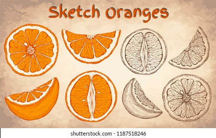 Vector illustration set of sketch hand drawn colorful oranges and slice orange. Fresh fruits, citrus, Italy, Spain, mandarins. Organic food label. Vintage style.