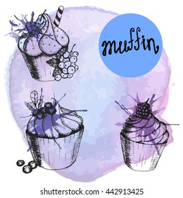 Vector illustration. Set. Sketch muffins on watercolor background. three objects . Elements for menu design. Blue.