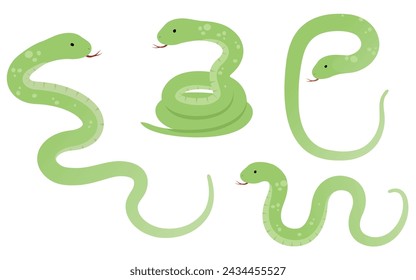 Vector illustration set of snake (year of the snake)