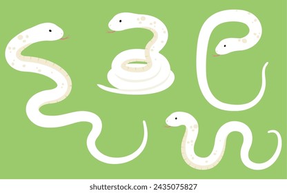 Vector illustration set of snake (year of the snake)