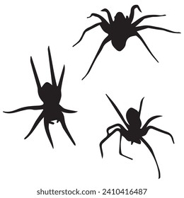 Vector Illustration of Set of Spider Silhouette