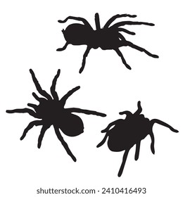 Vector Illustration of Set of Spider Silhouette