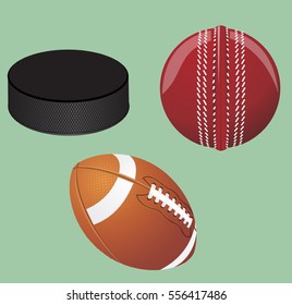 Vector illustration. Set of sport equipment. Hockey puck, ball for cricket, american football .