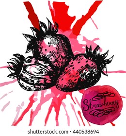 Vector illustration. Set strawberry berry sketch on watercolor background. Five objects. For menu design
