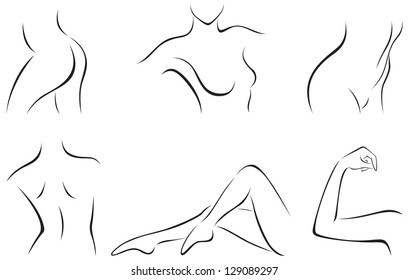 Vector illustration of set of stylized female body parts/ Set of stylized body parts