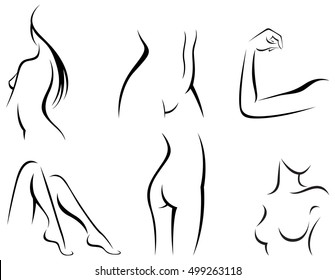 Vector Illustration Of Set Of Stylized Female Body Parts