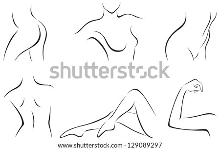 Vector illustration of set of stylized female body parts/ Set of stylized body parts