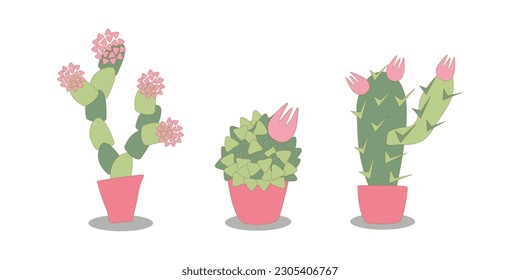 vector illustration set of stylized indoor blooming cacti. Succulents in coral pots