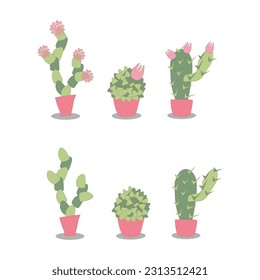 conjunto de ilustraciones vectoriales de cactus interiores estilizados. Los suculentos en las macetas de coral florecen y sin floración.