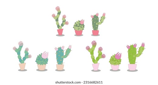 vector illustration set of stylized indoor cacti. Flowering succulents in pots - options in different colors.