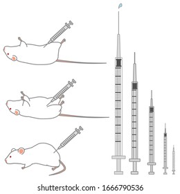 Conjunto de jeringas de diferentes tamaños y ratones que se están inyectando