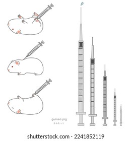 Conjunto de jeringas de diversos tamaños de conejillos de indias inyectables