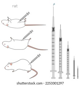 Serie de jeringas de diversos tamaños y ratas a inyectar