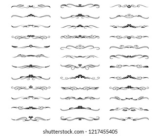 Vector Illustration. Set of text delimiters and ornamental calligraphic lines and floral elements.
