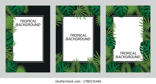 Vector illustration, set of three backgrounds with tropical leaves and space for text.Black and white background. - Shutterstock ID 1780131446