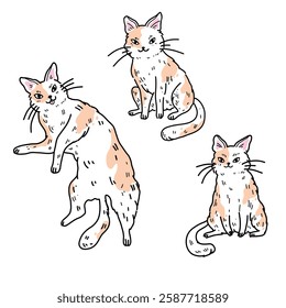 Vector illustration of a set with three cute white and orange cats lying on their backs, sitting, sleeping and smiling sweetly. Funny stickers of funny pets