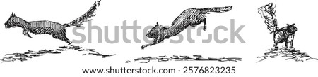 A vector illustration of a set of three hand drawn squirrel sketches. Squirrel bounding and leaping. Black ink drawing on white