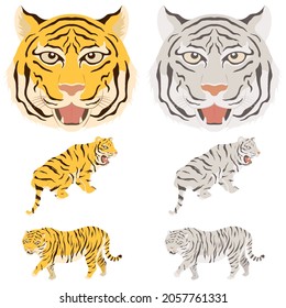 Vector illustration set of tiger and white tiger.