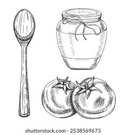 Vector illustration of a set of tomatoes, a jar of sauce and a wooden large spoon. Kitchen utensils, tools, dishes. Hand drawn illustration in line art in black ink, isolated background